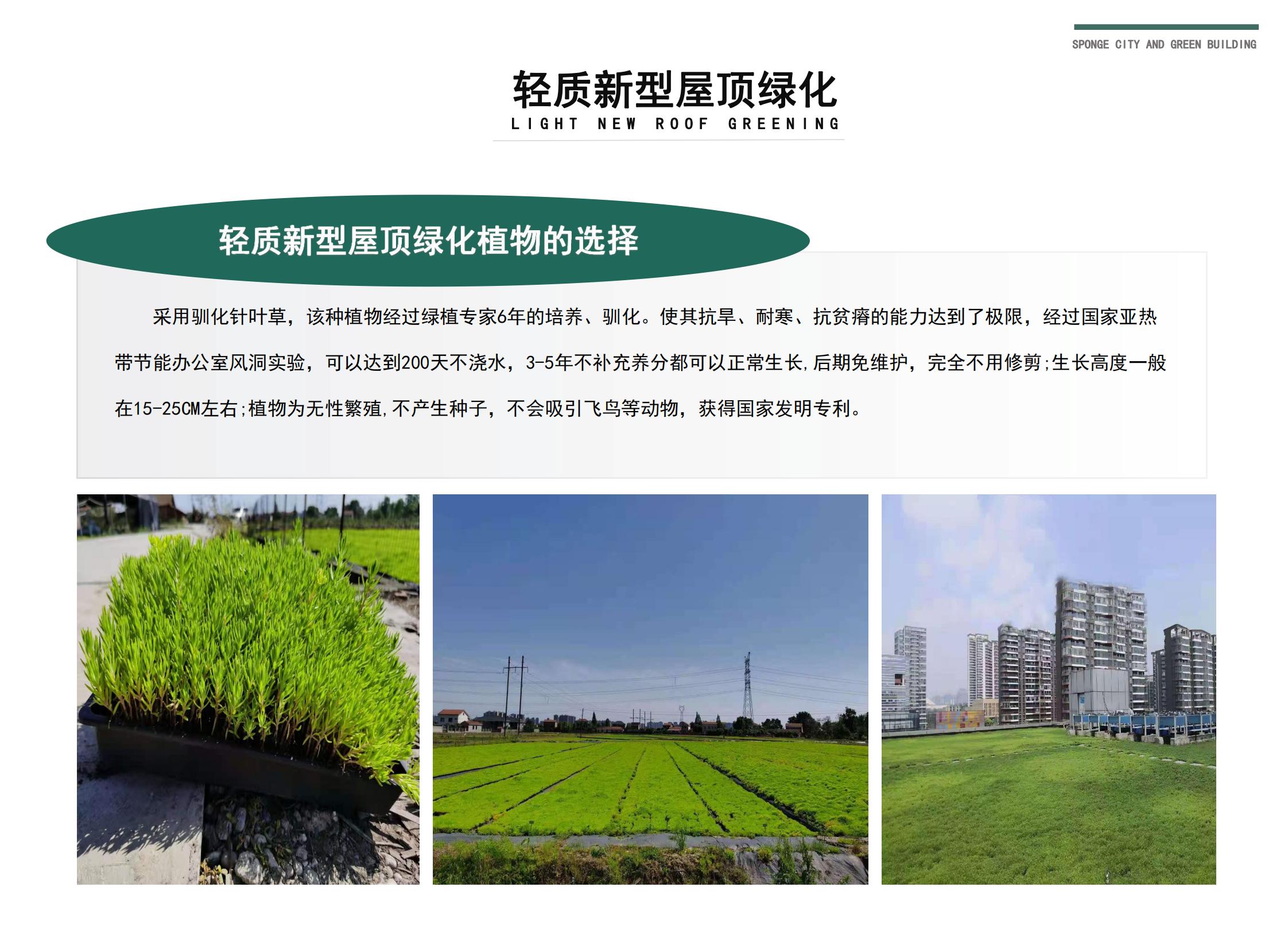 四川雨禾源綠建科技有限公司